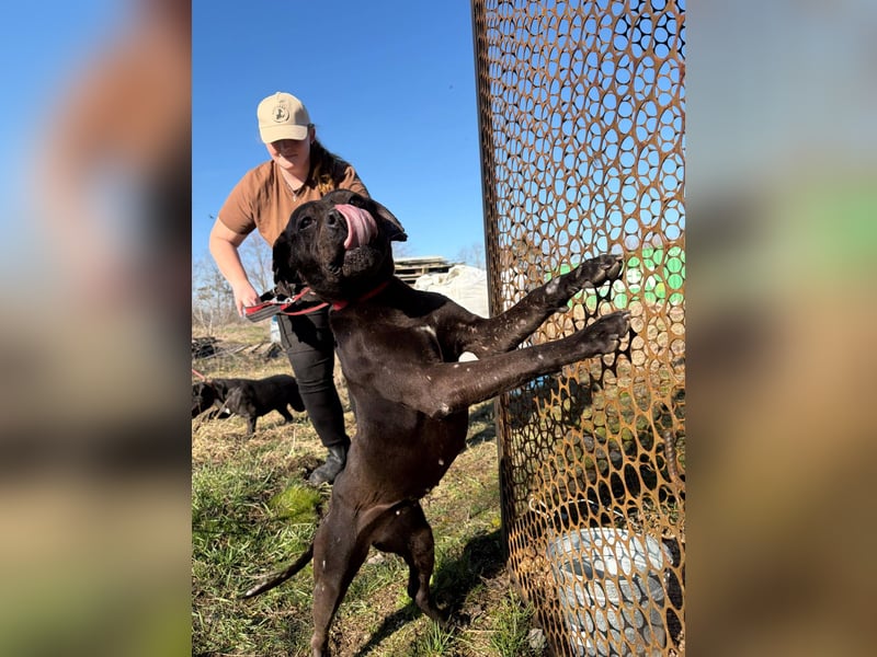 Lepke  wäre gerne Einzelprinzessin
