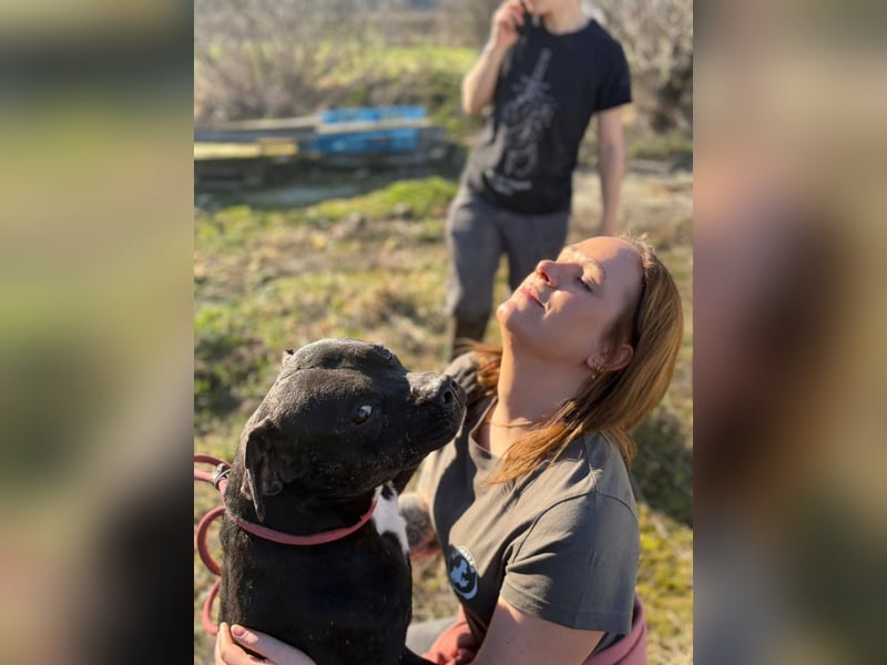 Pilango, aktives Krafpaket sucht sportliche Menschen