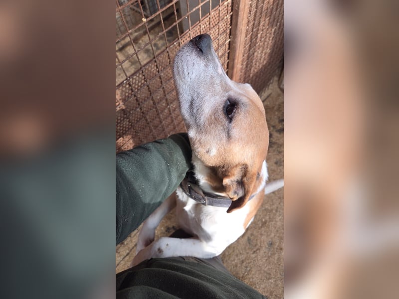 Whiskey gehört noch nicht zum alten Eisen