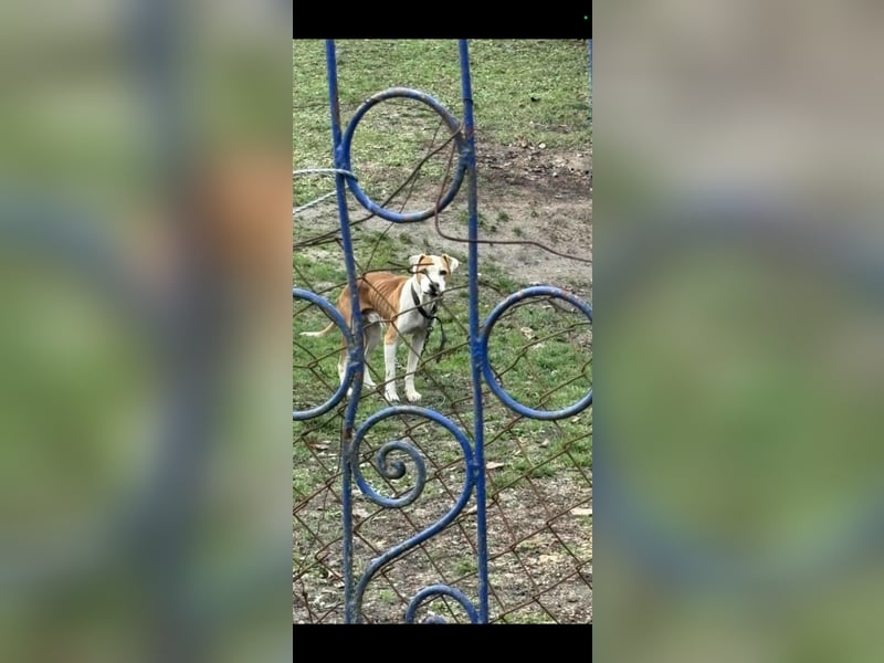 Jonathan , freundlich und zutraulich