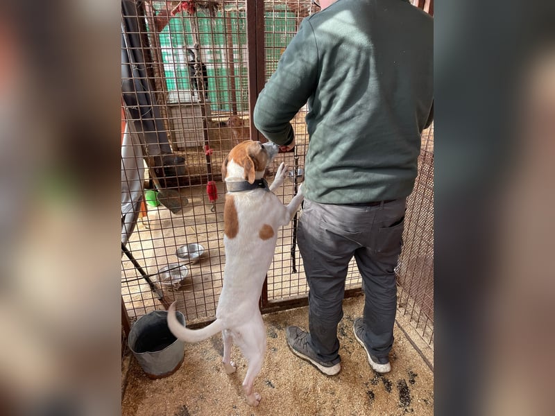 Whiskey gehört noch nicht zum alten Eisen