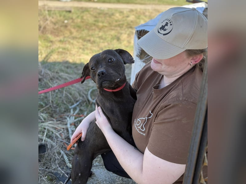 Lepke  wäre gerne Einzelprinzessin