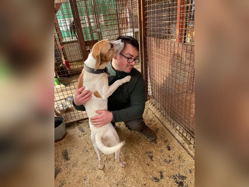 Whiskey gehört noch nicht zum alten Eisen