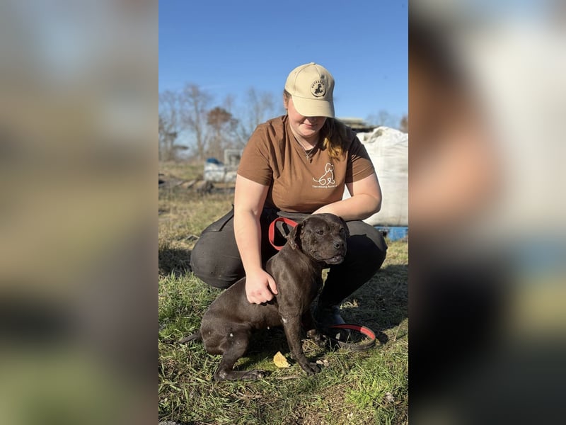 Lepke  wäre gerne Einzelprinzessin