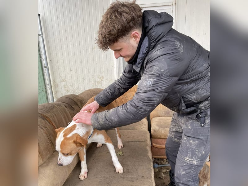 Zeus, aktiv und menschenorientiert