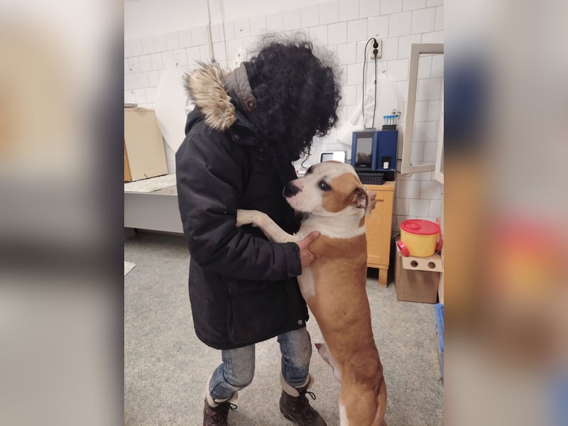 Jonathan , freundlich und zutraulich