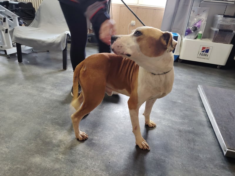 Jonathan , freundlich und zutraulich