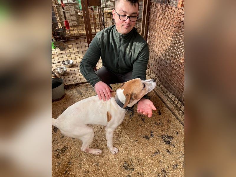 Whiskey gehört noch nicht zum alten Eisen