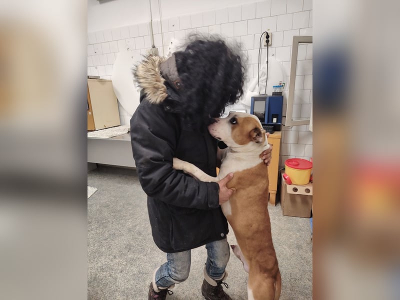 Jonathan , freundlich und zutraulich