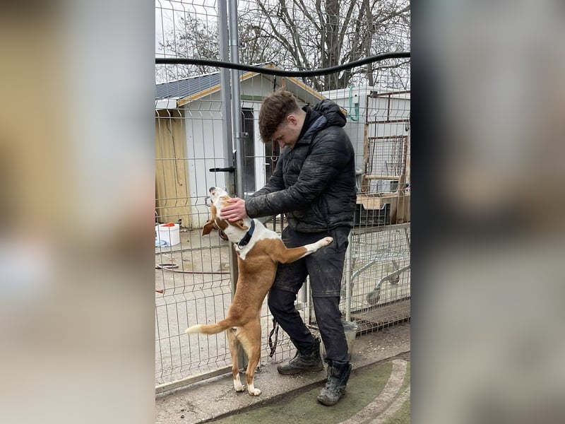 Zeus, aktiv und menschenorientiert