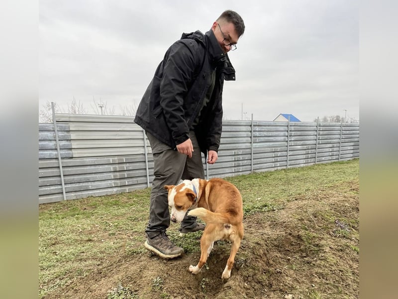 Zeus, aktiv und menschenorientiert