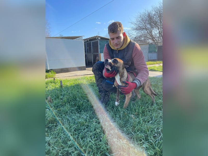 Cherry, sucht aktive Menschen, Vermittlung nur nach CH,SWE,NL o. A