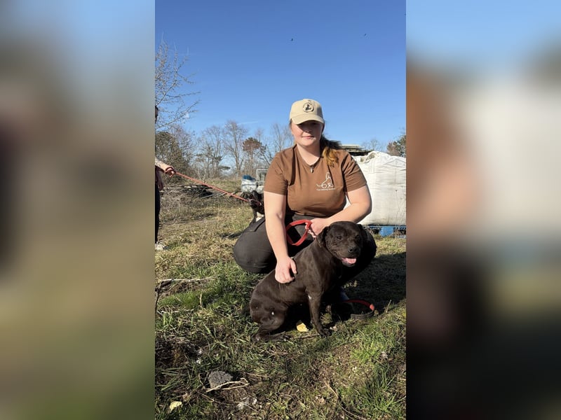 Lepke  wäre gerne Einzelprinzessin