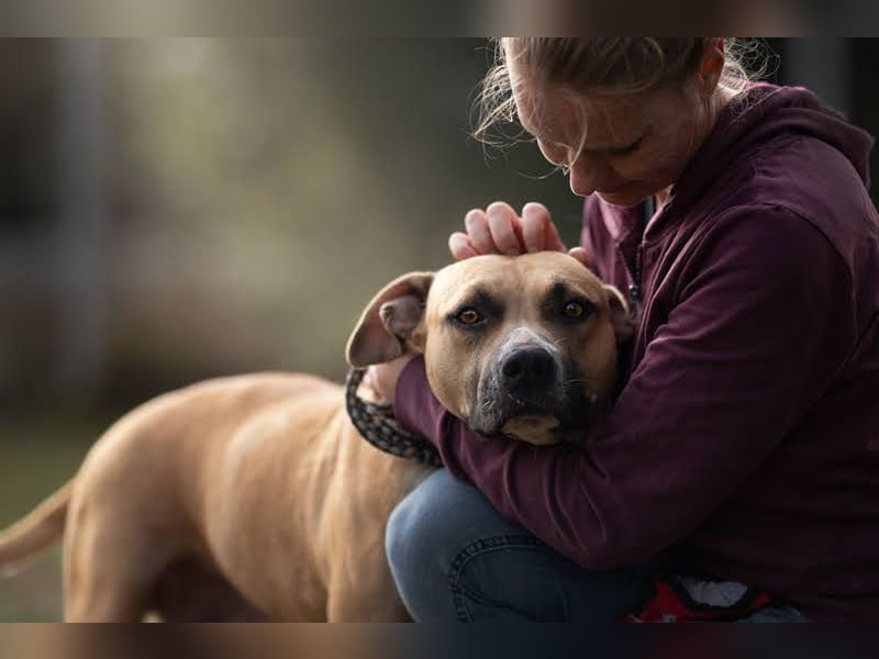 FRONI - die hübsche Maus sucht ein hundeerfahrenes, liebevolles Zuhause!