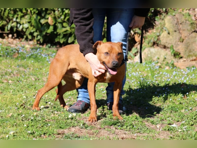 Zorro - was für ein Name