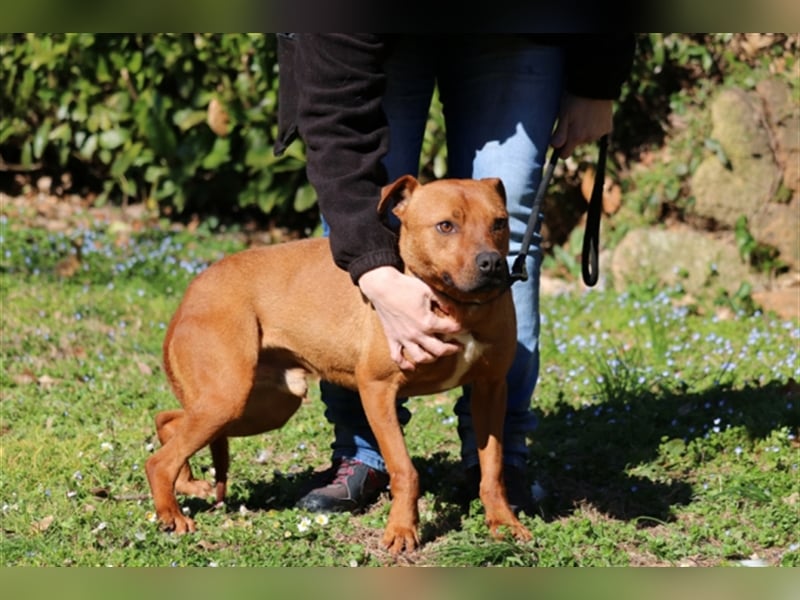 Zorro - was für ein Name