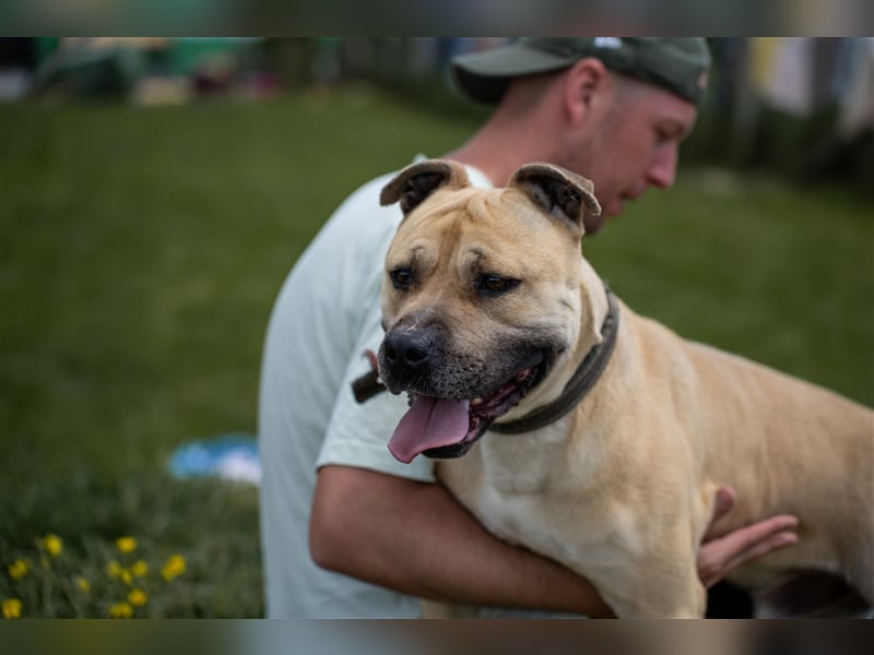 Rudi2, Frohnatur sucht tolles Zuhause