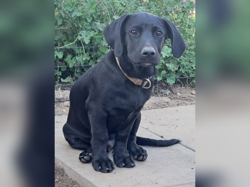 Kleiner Timon ( * 05/2025 ) sucht seine Familie