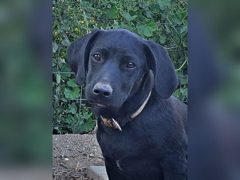 Kleiner Timon ( * 05/2025 ) sucht seine Familie