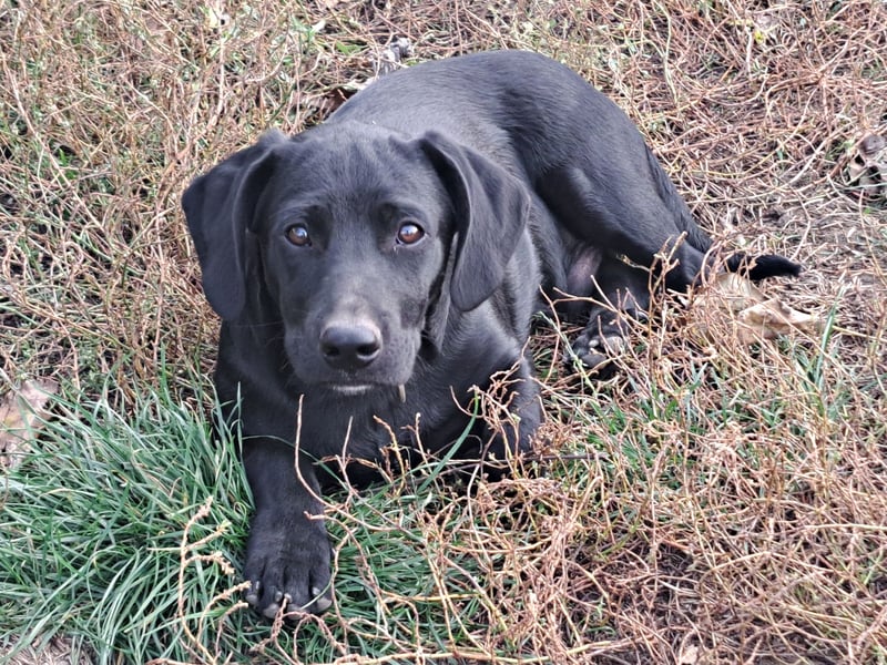 Kleiner Timon ( * 05/2025 ) sucht seine Familie
