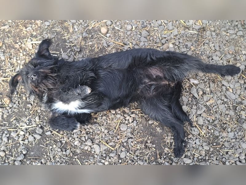 Bonnie sucht ihr eigenes Zuhause