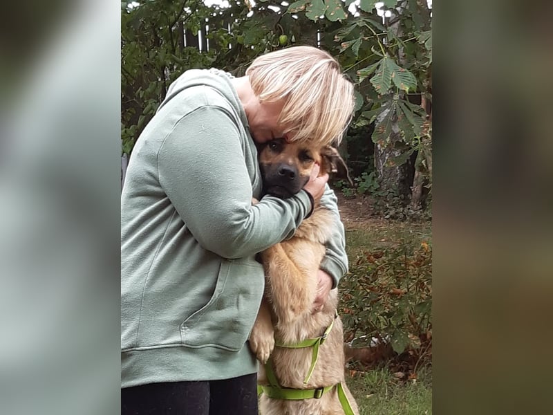 Alma: Herz auf vier Pfoten sucht ihr Glück (in 41515 Grevenbroich) Alma: Herz auf vier Pfoten sucht ihr Glück (in 41515 Grevenbroich)