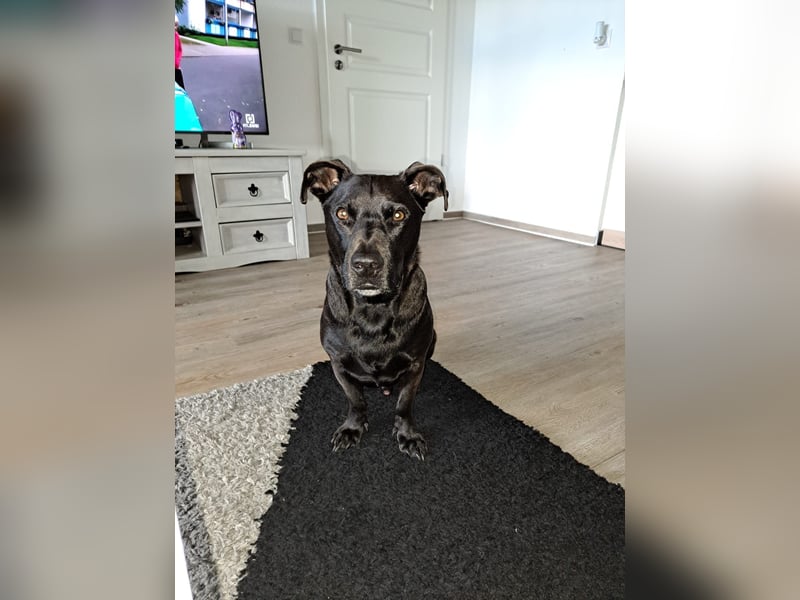 Chuck sucht seine Menschen