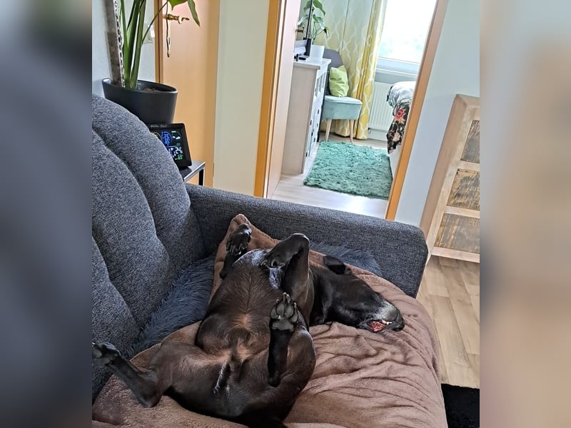 Chuck sucht seine Menschen