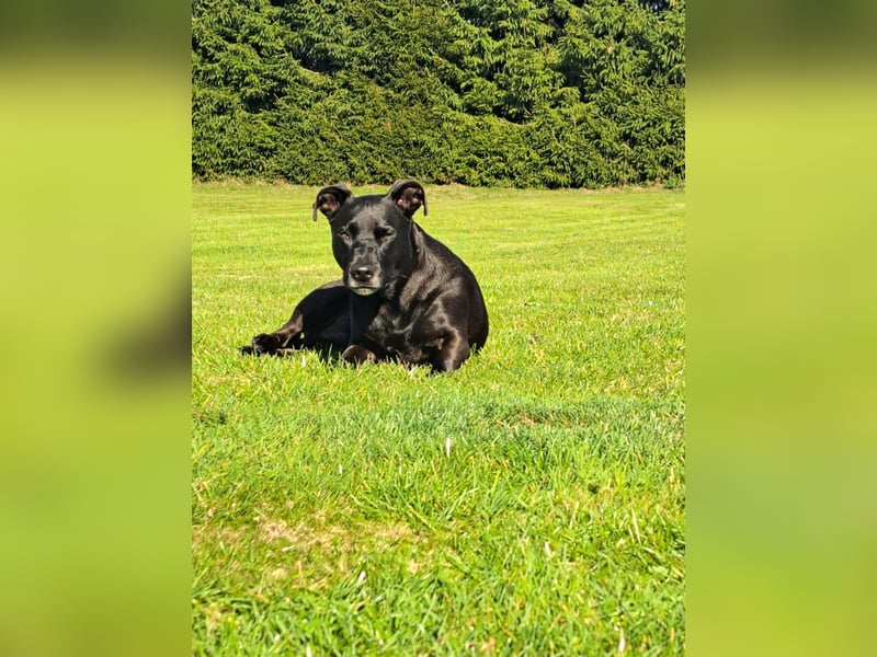 Chuck sucht seine Menschen