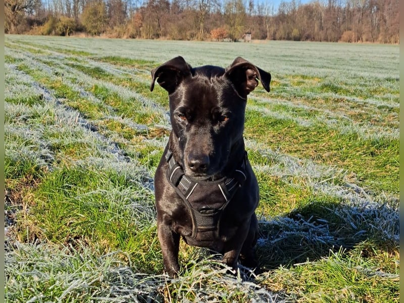 Chuck sucht seine Menschen