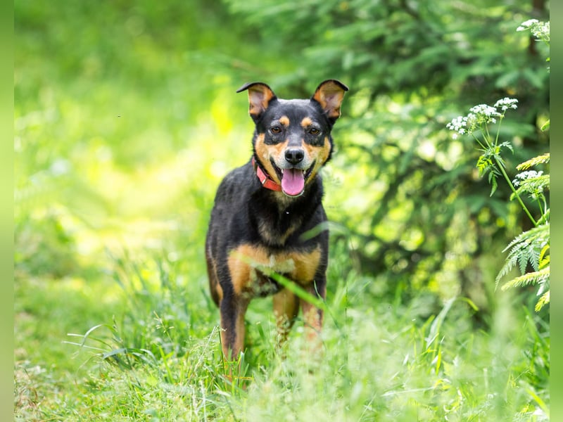 Ruhige Mulya sucht dich ...