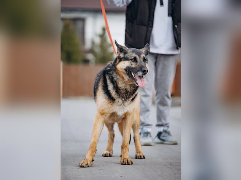 Schöne Sheila sucht traum zuhause