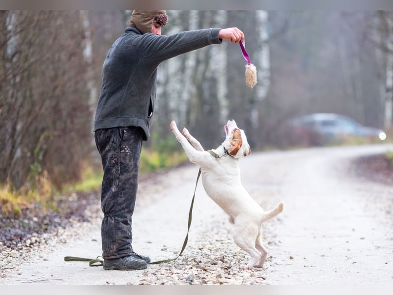 Aufgeschlossener Lord sucht aufgeschlossene Menschen
