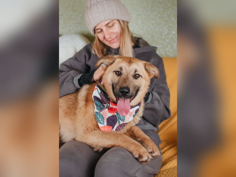 Hundemädchen Mila sucht Familie