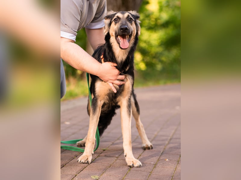 Der mutige Philip sucht seine Menschen