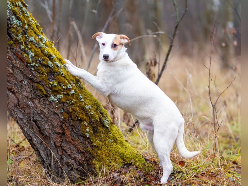 Aufgeschlossener Lord sucht aufgeschlossene Menschen