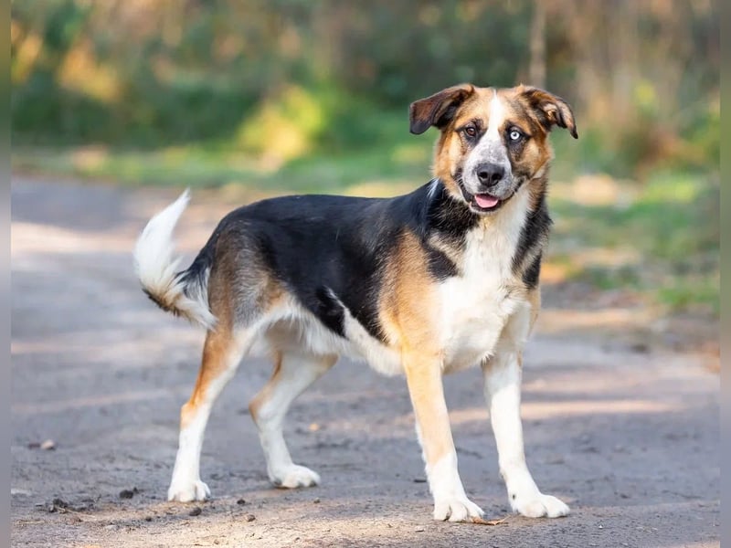 Tyson will nochmal seine ganze Liebe zeigen