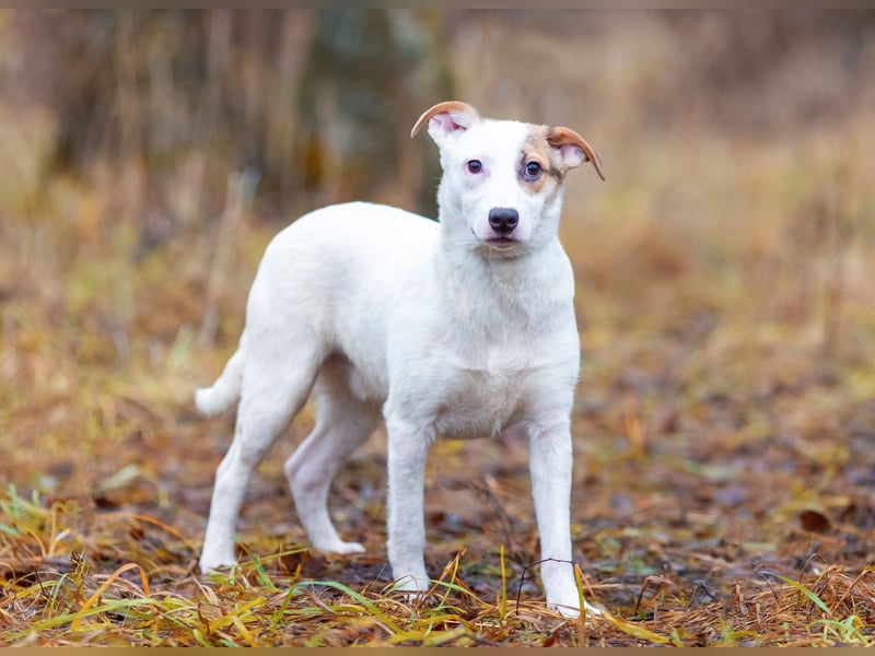 Aufgeschlossener Lord sucht aufgeschlossene Menschen