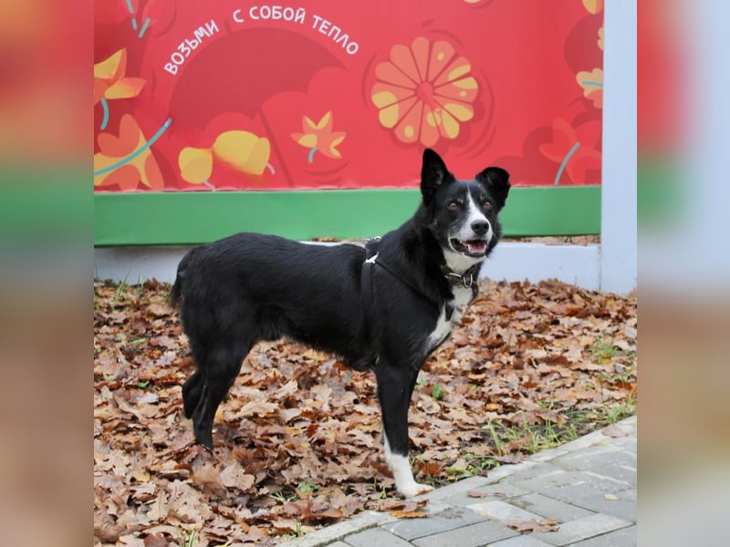 Mike sucht Traumzuhause