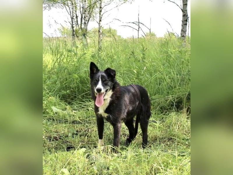 Mike sucht Traumzuhause