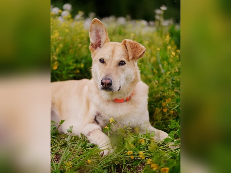 Ausgewogene Mona sucht Familie
