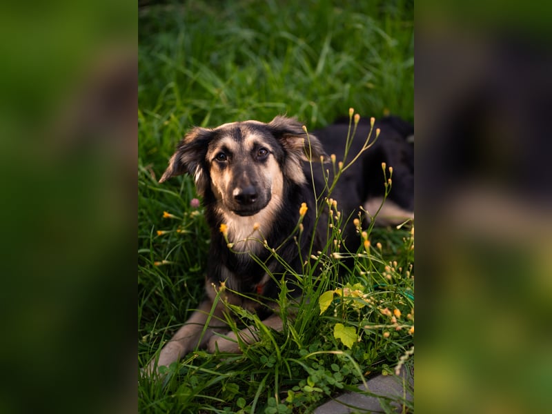 Der mutige Philip sucht seine Menschen