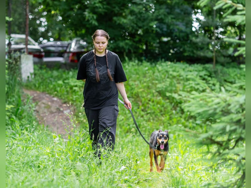 Ruhige Mulya sucht dich ...