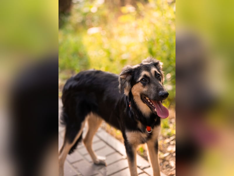 Der mutige Philip sucht seine Menschen