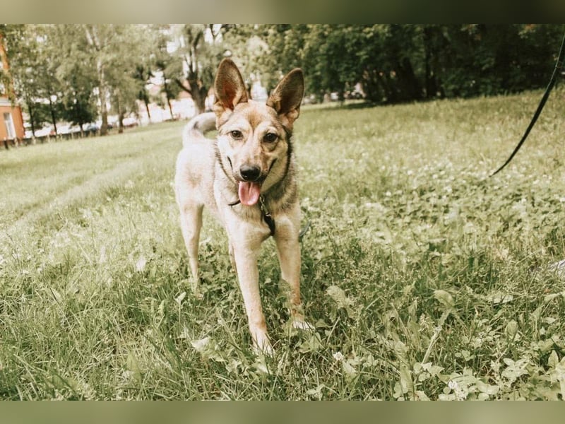 Aktive Bulochka sucht aktive Menschen