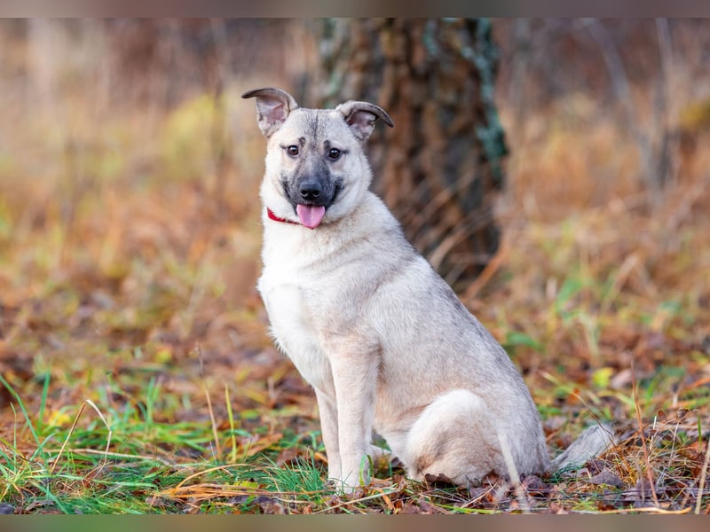 Iriska sucht liebe Menschen