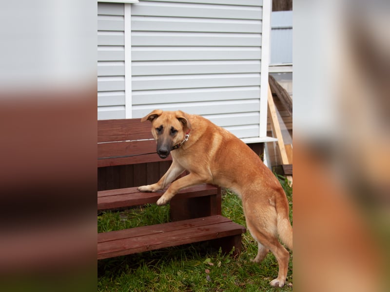 Junge hübsche Leia sucht Familie