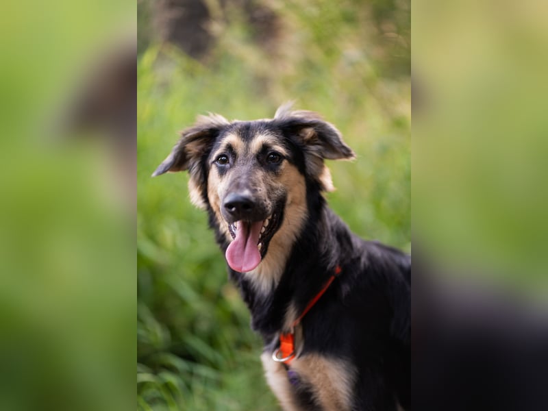 Der mutige Philip sucht seine Menschen