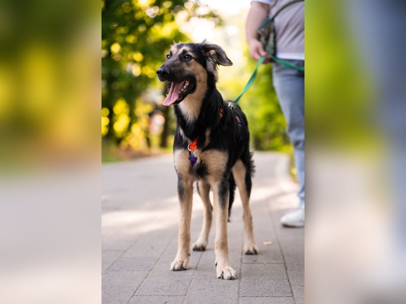 Der mutige Philip sucht seine Menschen