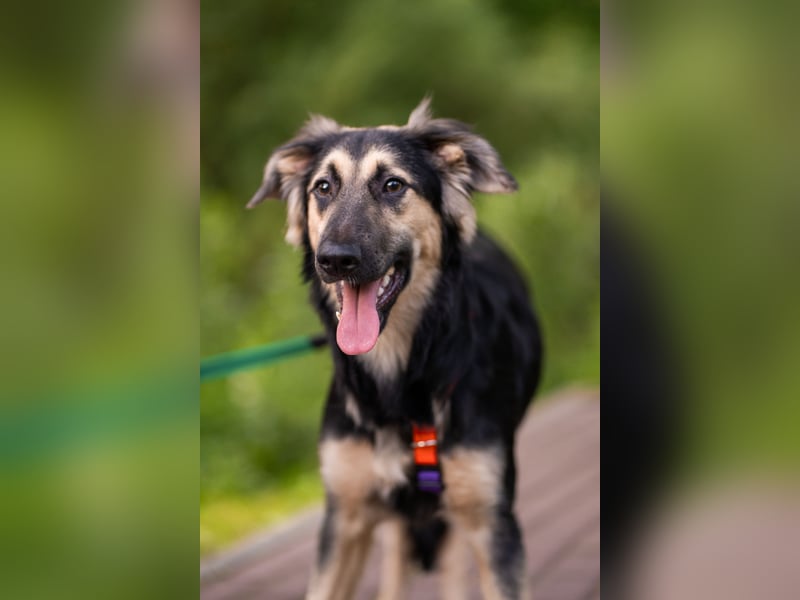 Der mutige Philip sucht seine Menschen